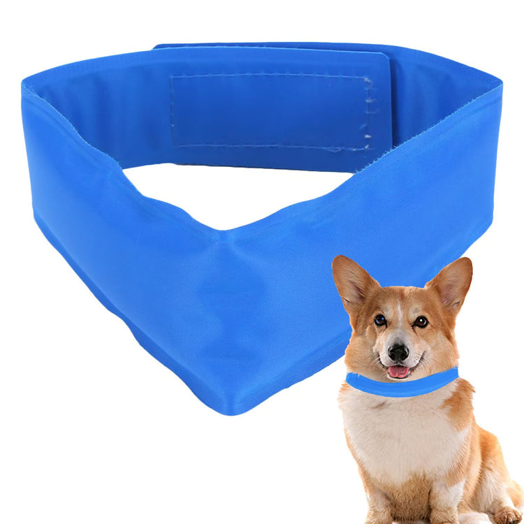 Icy Collar